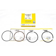 Piston Ring Kit