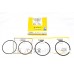 Piston Ring Kit