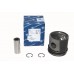 Piston Assy 300 Tdi 040