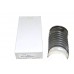 Bearing Set .010 Main