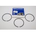 Piston Ring Std