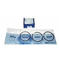 Piston Ring Std