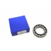 Ball Bearing Planet Carrier 6009