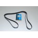 PRIMARY BELT PRIMARY BELT