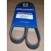 BELT ALTERNATOR BELT ALTERNATOR