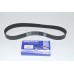 V-BELT